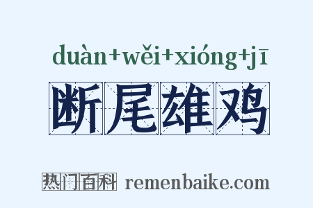 断尾雄鸡是什么意思的图片